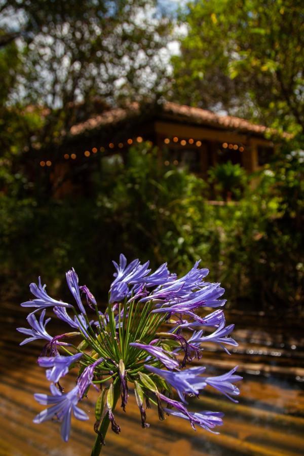 Clavellino House En Villa De Leyva - Tranquilidad Y Naturaleza En Reserva Natural Urbana! Exterior photo
